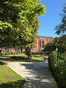 fe7b90977941e1f70d0f2f6e99466749