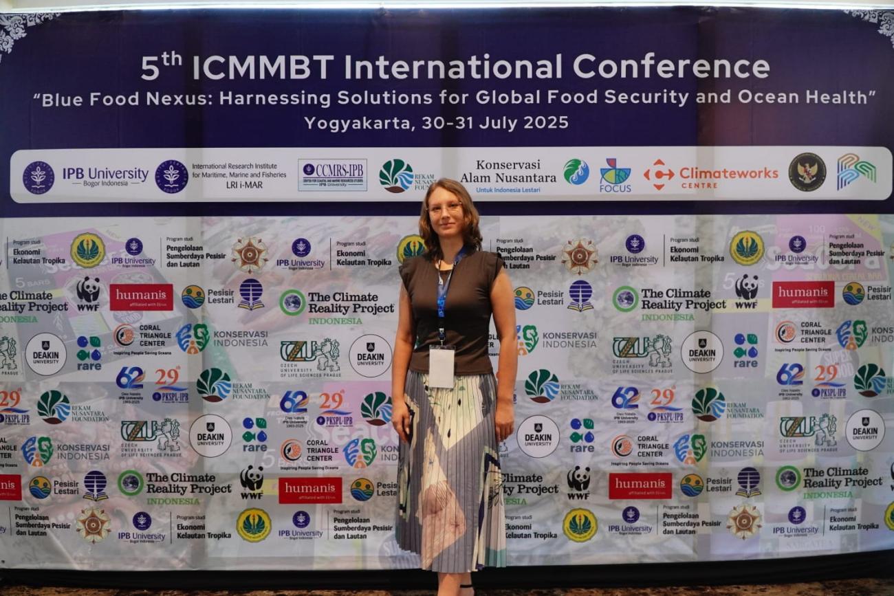 Post_ICMMBT