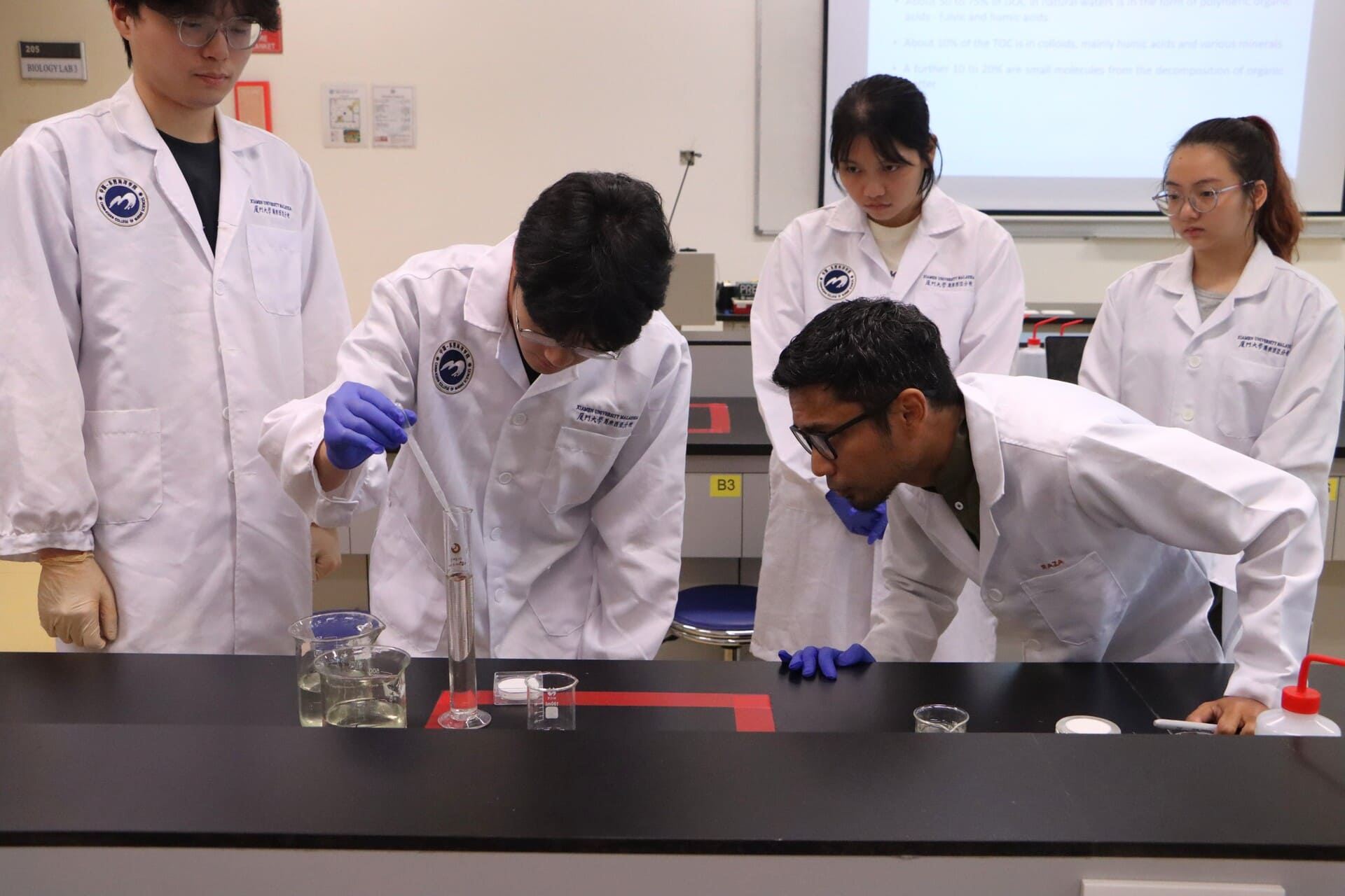 undergraduate-image