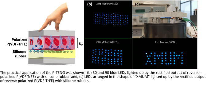 Dr. Gan Wee Chen and Students Publish in SCI Tier 1 Journal (2)