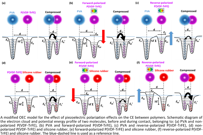 Dr. Gan Wee Chen and Students Publish in SCI Tier 1 Journal (3)