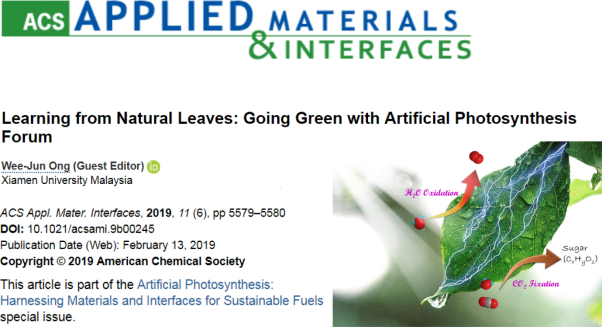 Dr. Ong Wee Jun Guest-Edits and Publishes in Tier-1 SCI Journal ACS Applied Materials & Interfaces (1)