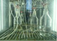 Exchange Diary Peggy Tek Pei Yee My Days of Algae Research at XMU China (2)