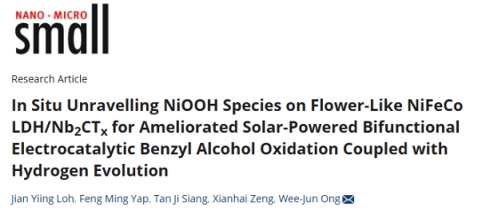 Prof. Dr. Ong Wee Jun & Team Featured on Small Frontispiece (2)