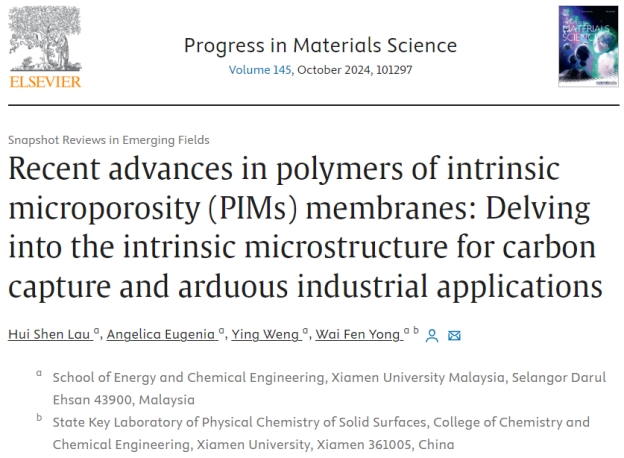 Prof. Ir. Dr. Yong Wai Fen and Students Publish in Progress in Materials Science