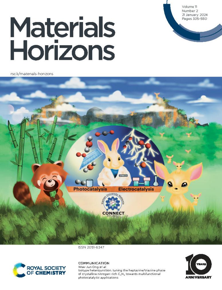 Prof. Ong Wee Jun Featured in Materials Horizons Emerging Investigator Series by the Royal Society of Chemistry (1)