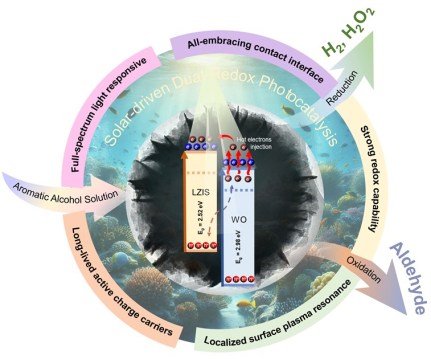 Prof. Ong Wee Jun and Team Publish in Advanced Functional Materials-1