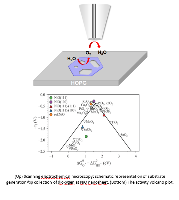 Prof. Zheng Jin-Cheng Publishes in Top Journal PNAS