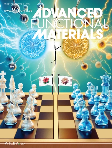 Prof.-Ong-Wee-Jun-&-Team-Publish-in-Advanced-Functional-Materials-and-Selected-as-Journal-Back-Cover-3
