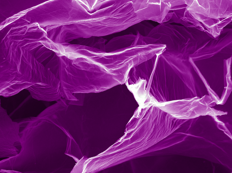 Professor Dr Huang Nay Ming Received the 2016 Malaysia’s Rising Star Award