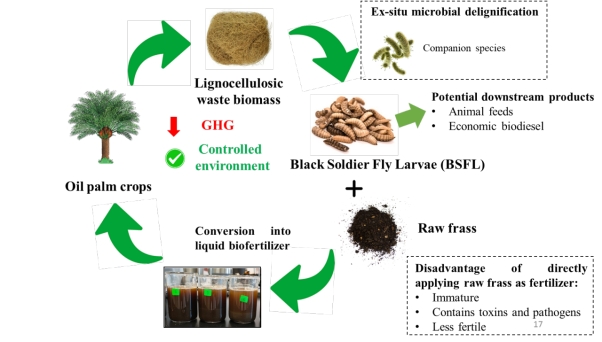 XMUM Alumnus Shares Research on Sustainable Agriculture at Global IChemE Webinar