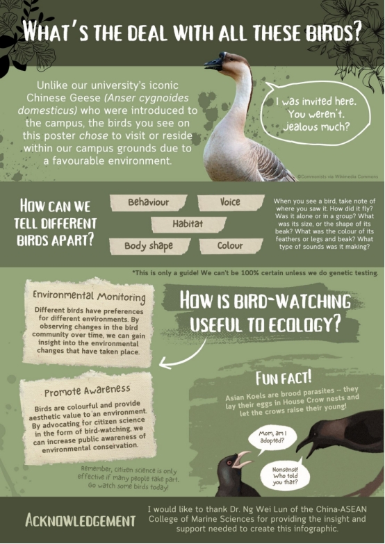 XMUM Student Documents Campus Bird Life (2)