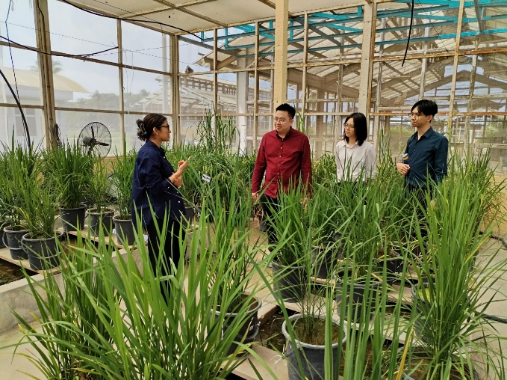 XMUM and MARDI Engage on Paddy Field Innovation