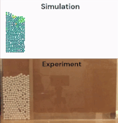 Exp_Sim