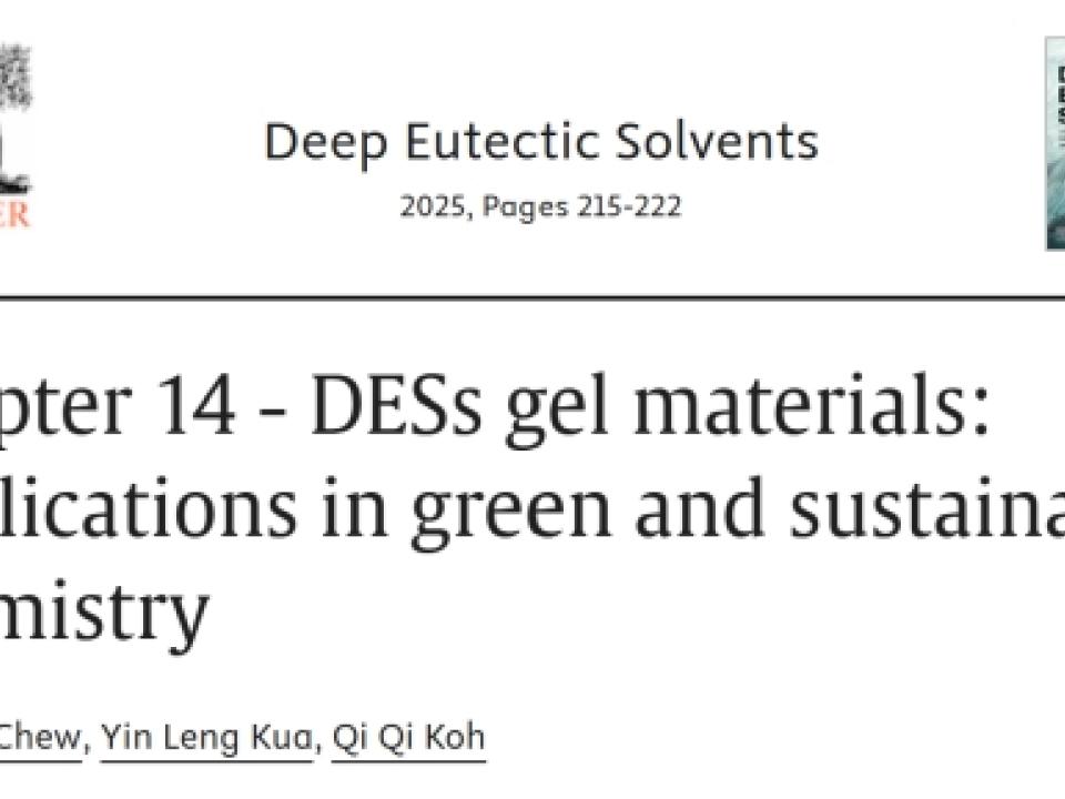 CME-Postgraduate-Student-Publishes-Book-Chapter-on-Deep-Eutectic-Solvents-Gel-Materials