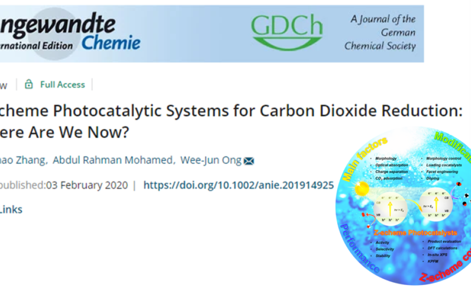 Chemical Engineering Undergraduate Publishes in Angewandte Chemie as First Author