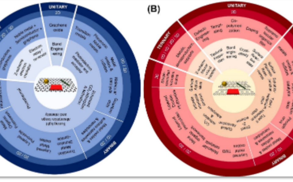 Dr. Ong Wee Jun Named as Young Chemists 2020 by Chemistry–A European Journal (1)