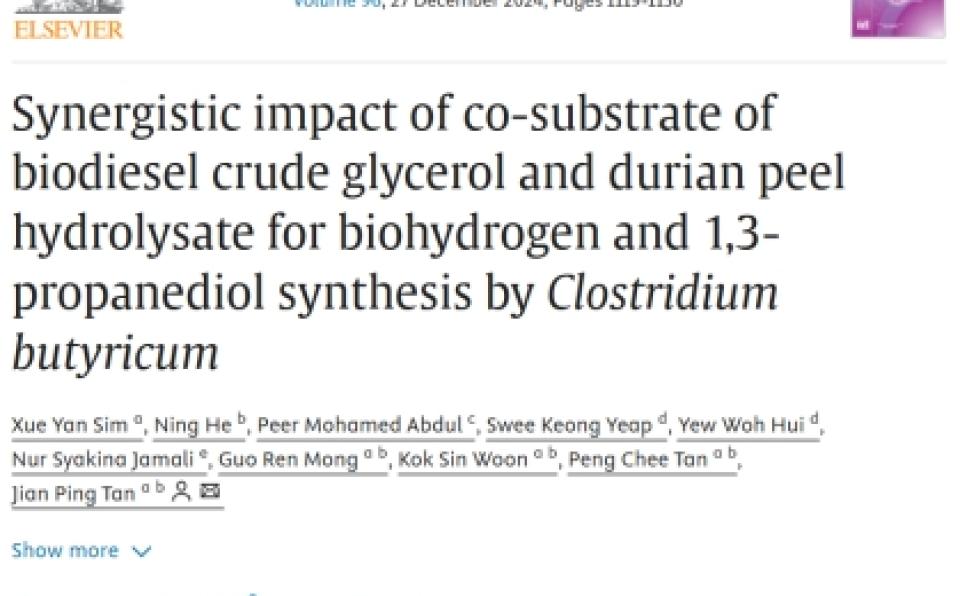 Dr. Tan Jian Ping & Team Publish in International Journal of Hydrogen Energy