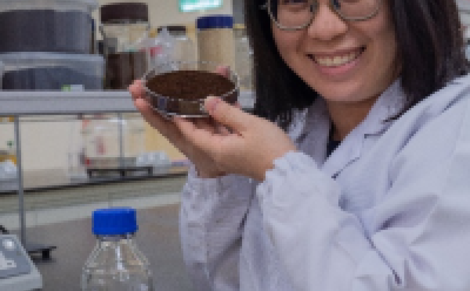 PhD Student Awarded IChemE Andrew Legacy Bursary 2024 for Catalysis Summer School