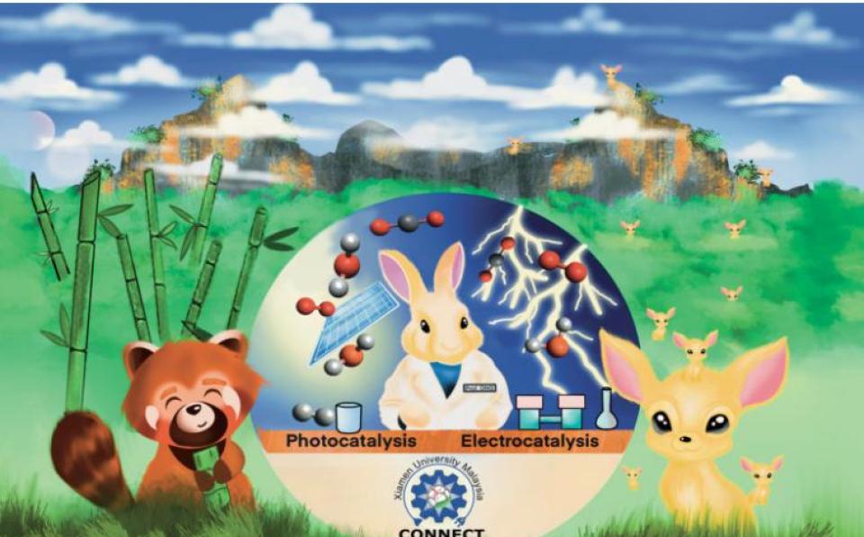 Prof. Ong Wee Jun Featured in Materials Horizons Emerging Investigator Series by the Royal Society of Chemistry (1)