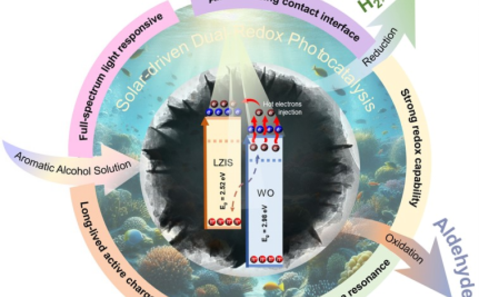 Prof. Ong Wee Jun and Team Publish in Advanced Functional Materials-1