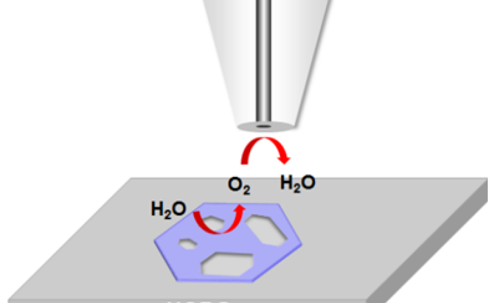 Prof. Zheng Jin-Cheng Publishes in Top Journal PNAS (1)