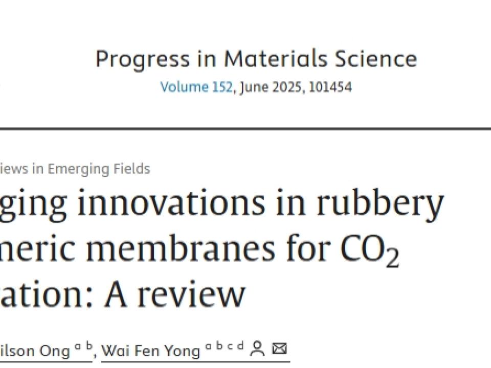 Prof.-Ir.-Dr.-Yong-Wai-Fen-&-Student-Publish-in-Progress-in-Materials-Science-2