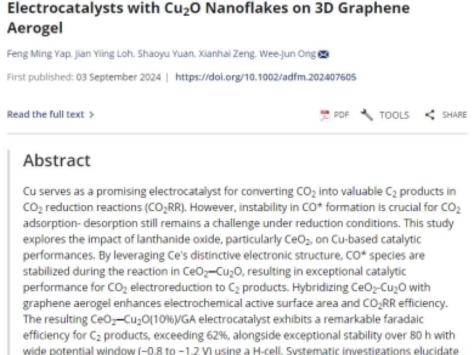 Prof.-Ong-Wee-Jun-&-Team-Publish-in-Advanced-Functional-Materials-and-Selected-as-Journal-Back-Cover
