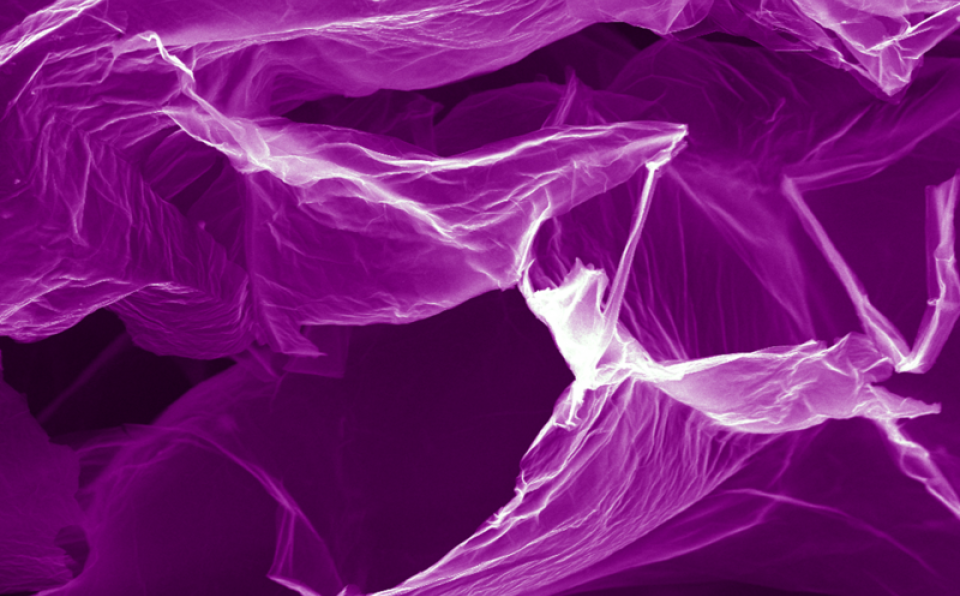 Professor Dr Huang Nay Ming Received the 2016 Malaysia’s Rising Star Award