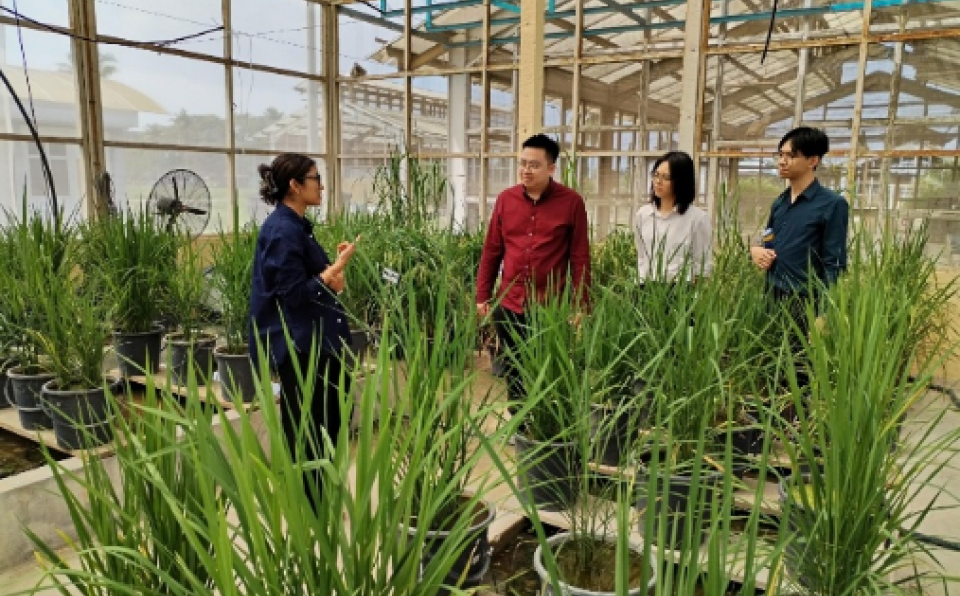 XMUM and MARDI Engage on Paddy Field Innovation