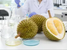Durian research